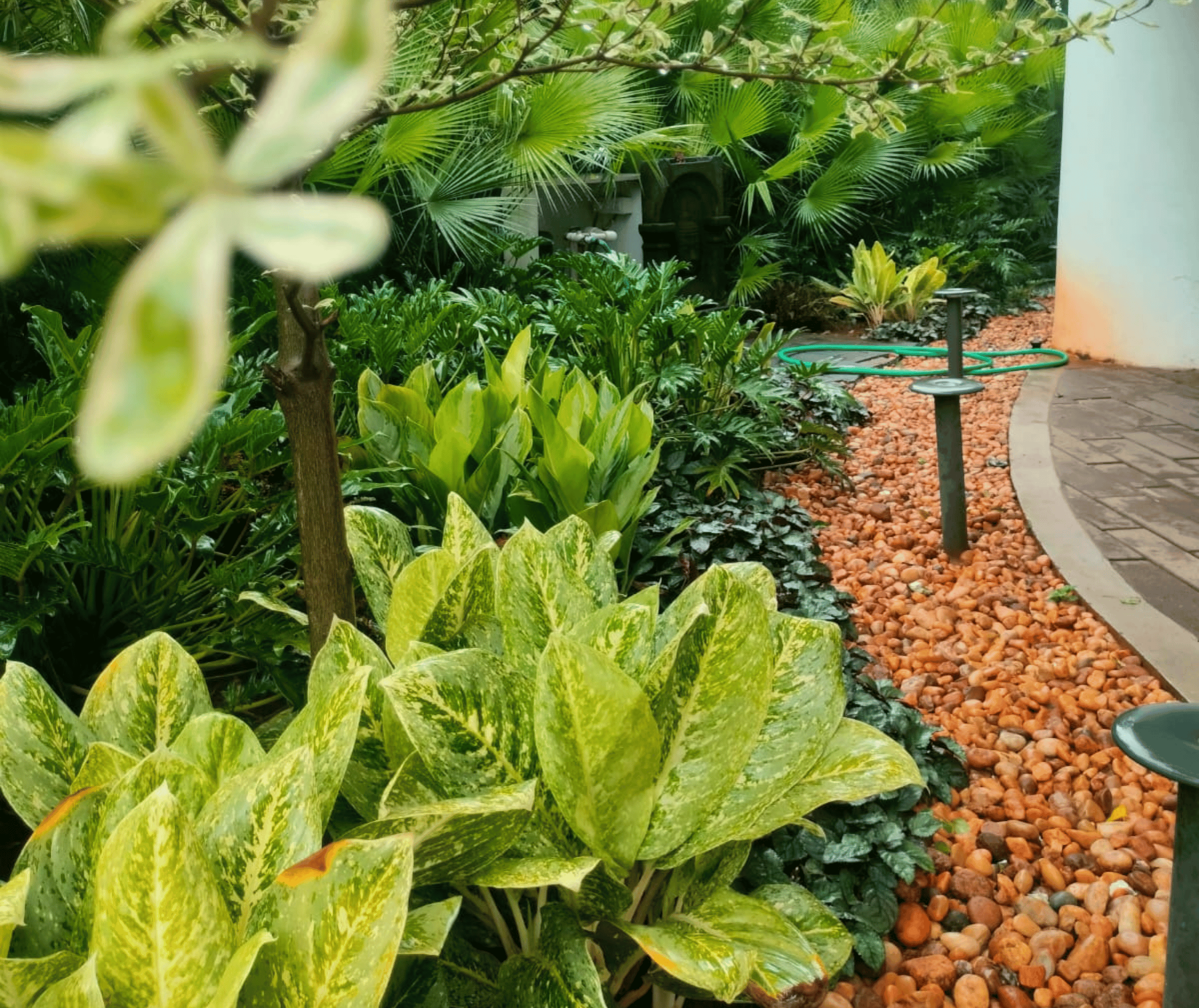 Landscape services by kaizen